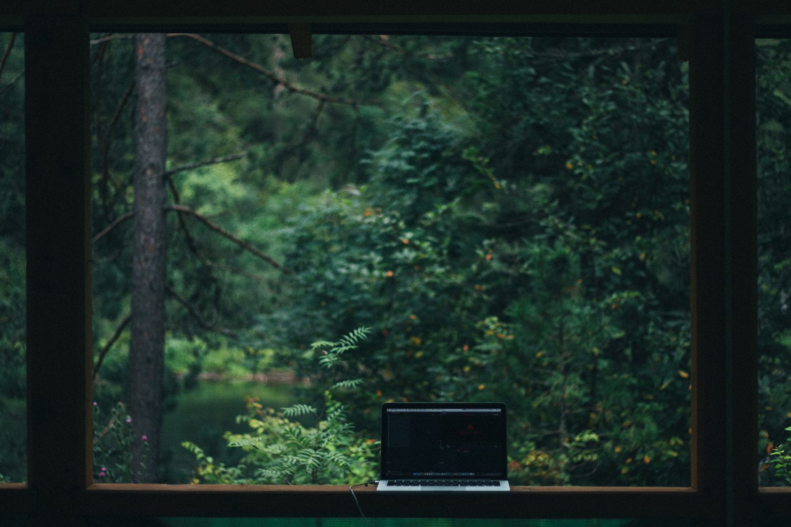 A laptop purched on a ledge overlooking a green forest scene